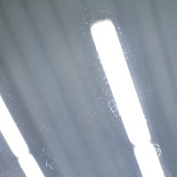 M14670(0300000136371)