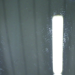 M33969(0300000135828)