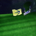 44