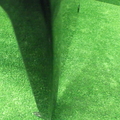 74
