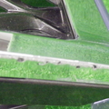 57