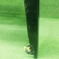 61
