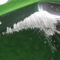 42