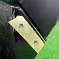 36