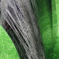 61
