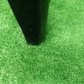 36