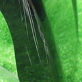 57