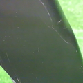 61