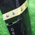 45
