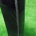 61
