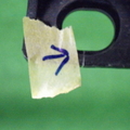43
