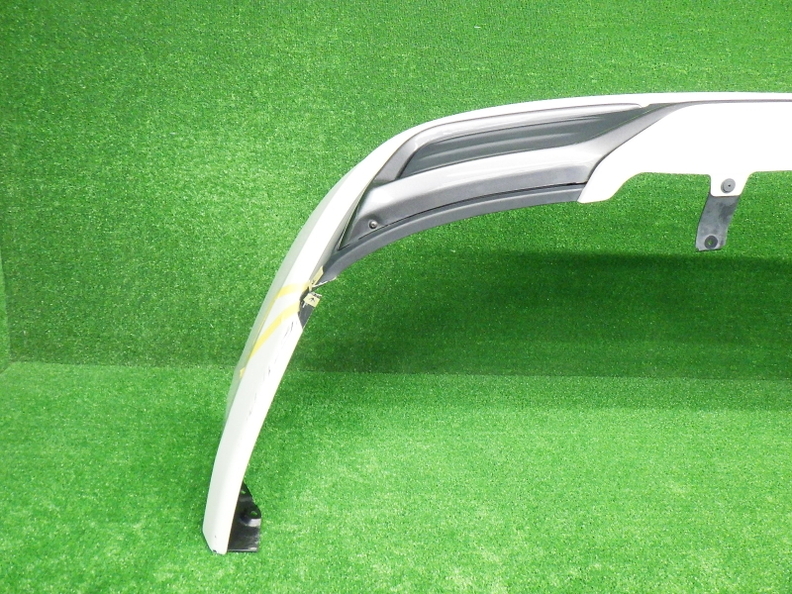 48.jpg