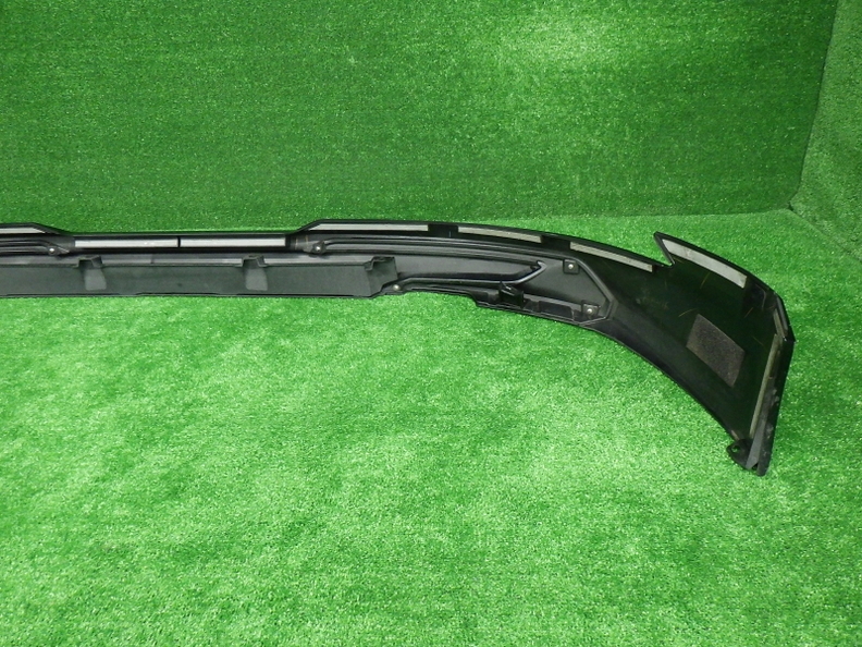53.jpg