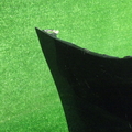 31
