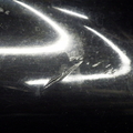 41
