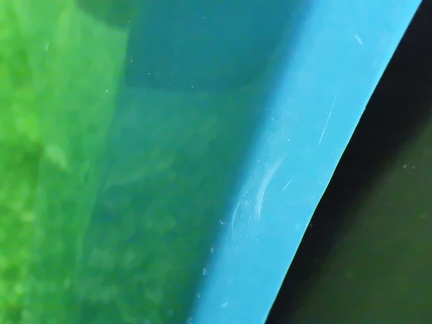 37