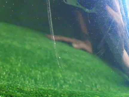 33