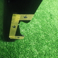 31