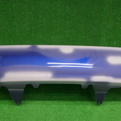R65013