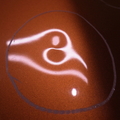 9