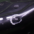 61