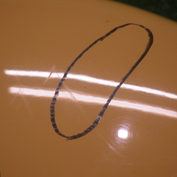 JX44727(0500000216918)