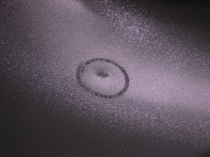 31
