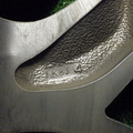 31