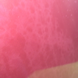 YX03827(0500000166070)