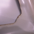 48