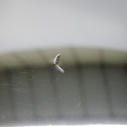 M62769(0300000152503)