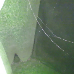 111501(0400000149787)