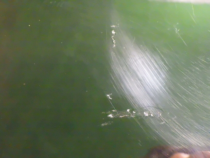 31