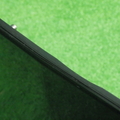 31