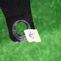 51