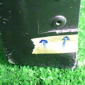 44