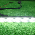 83