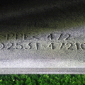 46