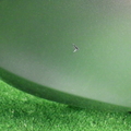 33