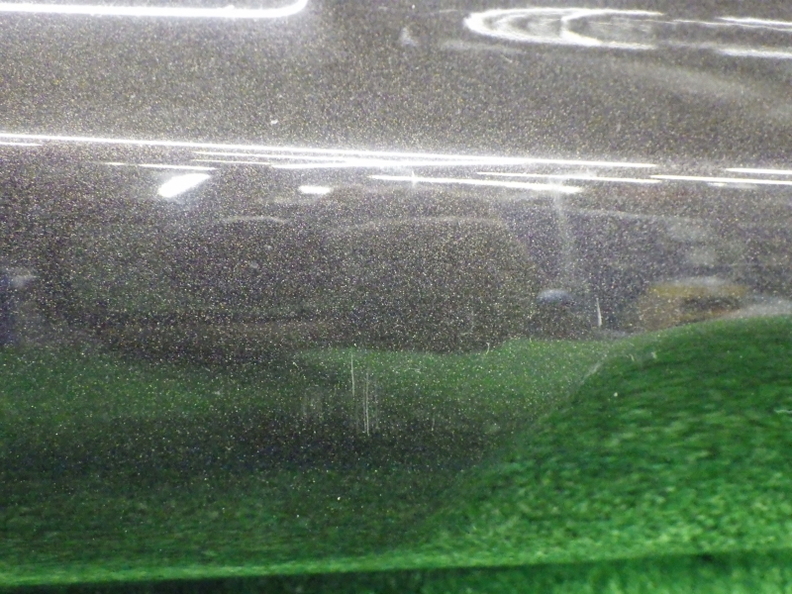 35.jpg