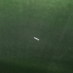 JX01527(0500000204316)
