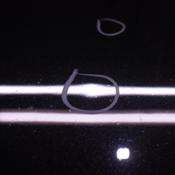 JX06827(0500000183821)