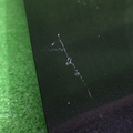 31