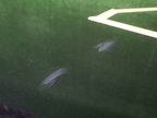 JX57127(0500000219190)