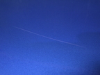 YX40836(0500000219481)